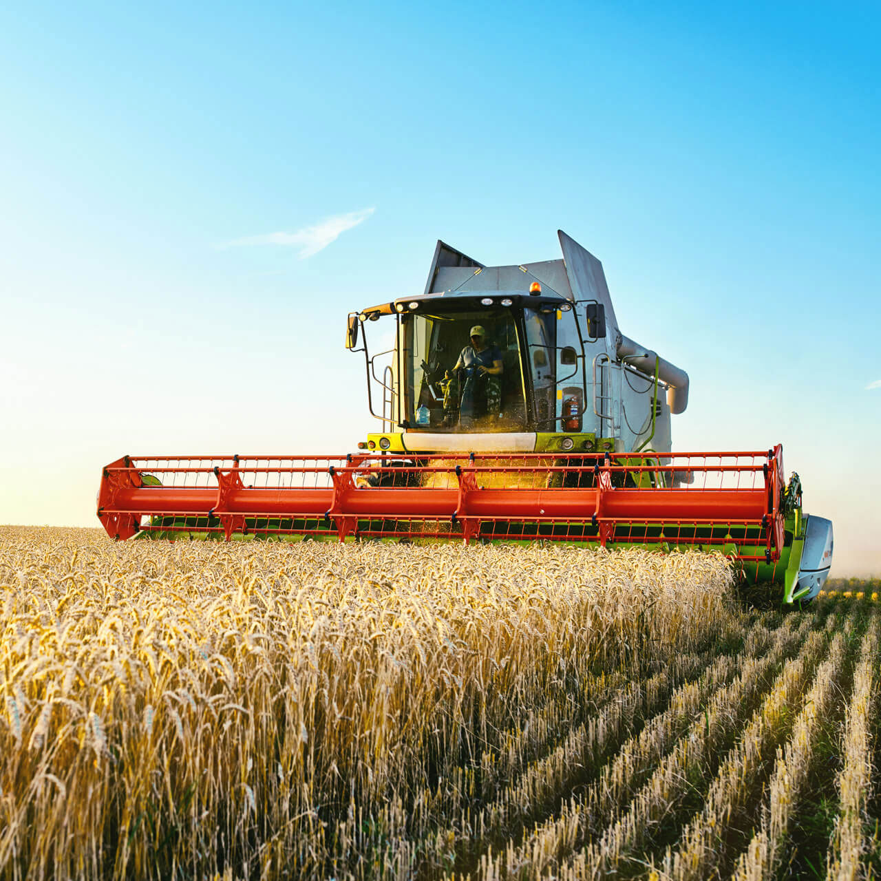 agricultural-banner-1